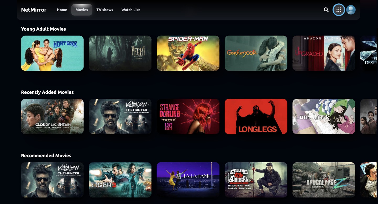 NetMirror Web browse page with rows of movie and show posters.