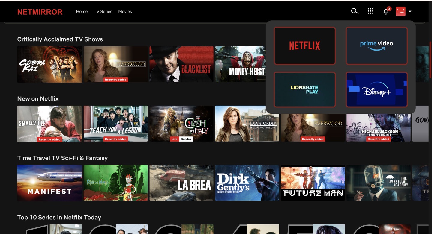 NetMirror Web OTT picker showing Netflix, Prime Video, Lionsgate Play and Disney+.